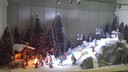 20151129_152724.JPG