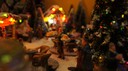 DSC03043.JPG
