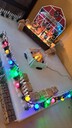 20241020_152852.JPG