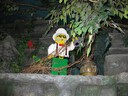 IMG_1067.JPG
