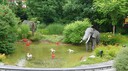 2010-07-26-11h31m16.jpg