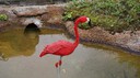 2010-07-26-11h31m23.jpg