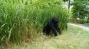 2010-07-26-11h38m08.jpg
