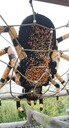 2010-07-26-12h13m09.jpg