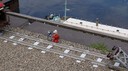 2010-07-27-17h00m54DSC02597.JPG