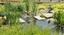 DSC04493.JPG