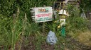 DSC04539.JPG