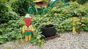 DSC04547.JPG