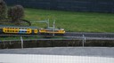 DSC07396.jpg