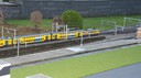 DSC07397.jpg