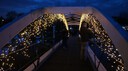DSC07427.jpg