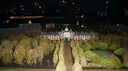 DSC07434.jpg