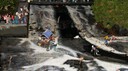 DSC07443.jpg