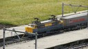 DSC06042.jpg