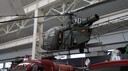 DSC08011.jpg