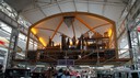 DSC08023.jpg
