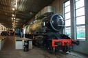DSC03143.jpg