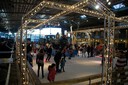 DSC03151.jpg