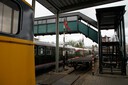DSC03177.jpg