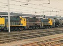 IMG_0014.jpg
