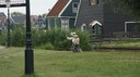 DSC04863.jpg