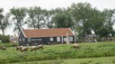 DSC04867.jpg
