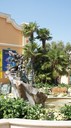 DSC05014.jpg