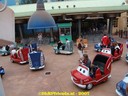 DSC01141.jpg