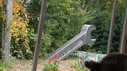 DSC06677.JPG