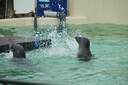 DSC07532.JPG