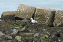 DSC07615.JPG