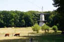 DSC00338.JPG