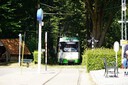 DSC00343.JPG
