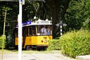 DSC00345.JPG