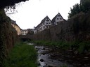 20180809_152026.jpg