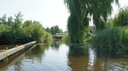 DSC05500.JPG