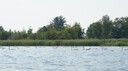 DSC05509.JPG