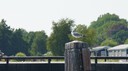 DSC05513.JPG