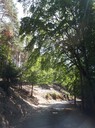 20180807_123629.jpg