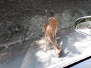 20180807_124944.jpg