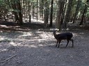 20180807_125857.jpg