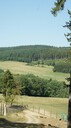 DSC03508.JPG