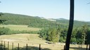 DSC03510.JPG
