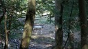 DSC03514.JPG