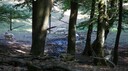 DSC03525.JPG