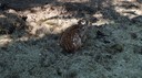 DSC03540.JPG