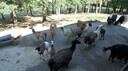 DSC03542.JPG