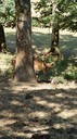 DSC03545.JPG