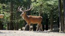 DSC03551.JPG