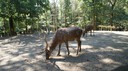 DSC03552.JPG